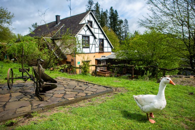 Fokke van Saane Fotografie